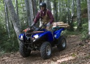 Yamaha Grizzly